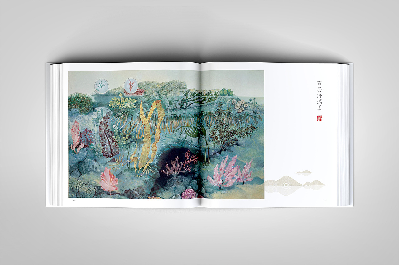 海藻文化手册 公司画册 企业画册（图ZMTAwMDgyNDc2） - 书籍/画册 - 站酷设计师王萍CY原创素材 - 站酷ZCOOL