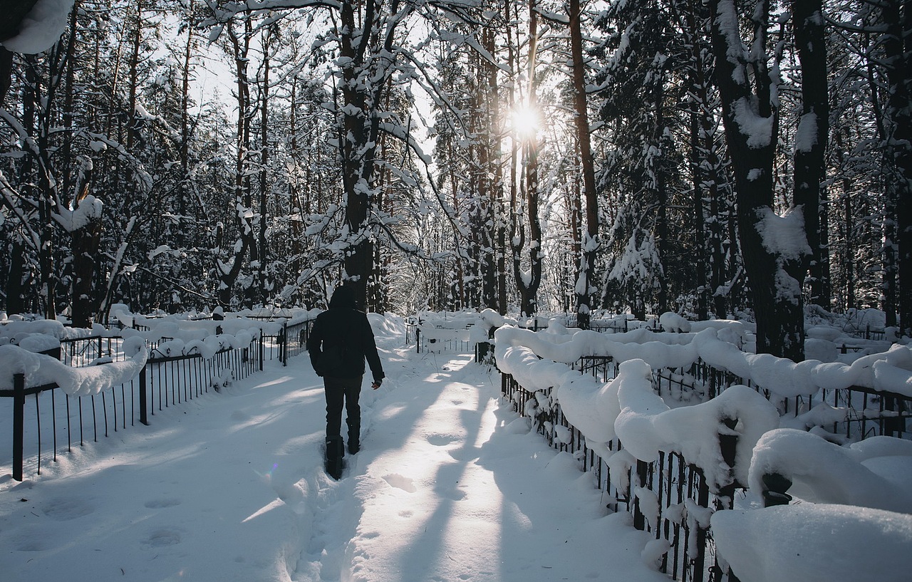 我们开了80KM路来到研究所门口,发现大门紧闭,门内七八只大狗冲着我们狂吠。一个胖保安听到了动静,向我们走了过来。