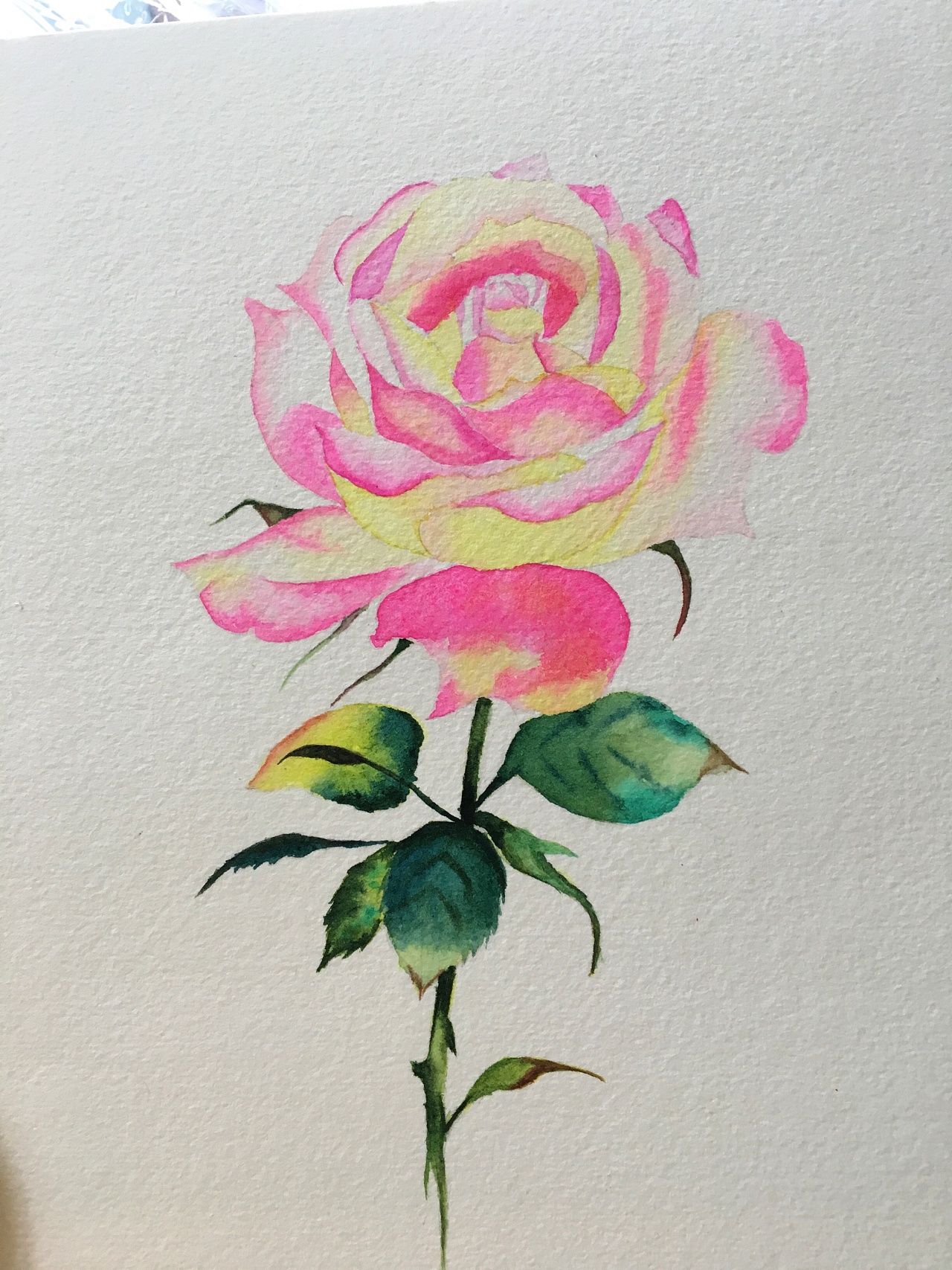 水彩玫瑰|纯艺术|绘画|画尽余生 - 原创作品 - 站酷 (zcool)