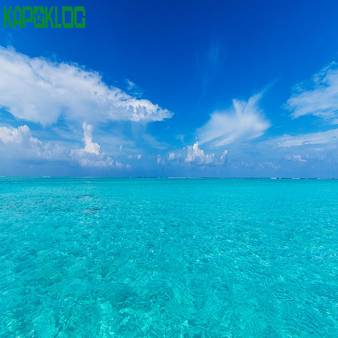 盛顺物流DGcargo双清关迪拜约旦沙特空运海运拼箱DDP