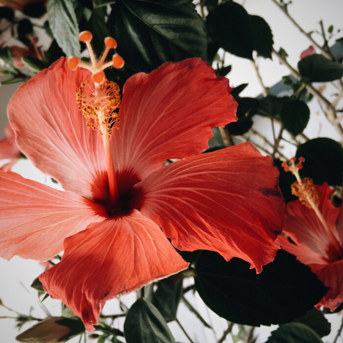 Z24962954的个人主页（封面预览） - 主页封面设置 - 站酷设计师Z24962954原创素材 - 站酷ZCOOL