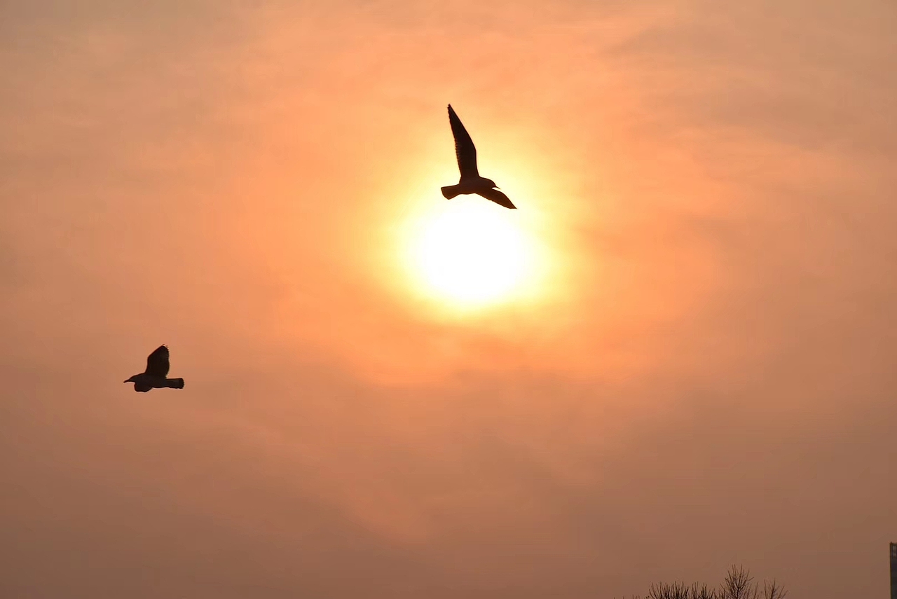 记录一次温柔的黄昏