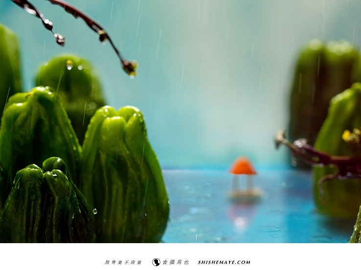 食摄马也·CHINA驰系列 | 廿四节气-雨水