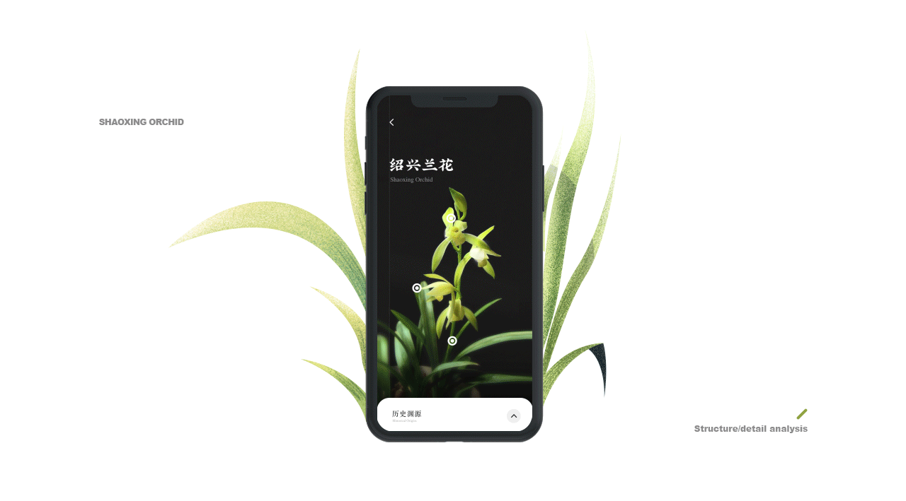 绍兴的屋-Orchid 概念设计(图ZMTY1MTQzMzA0) - 其他UI - 站酷设计师戚了个戚原创素材 - 站酷ZCOOL