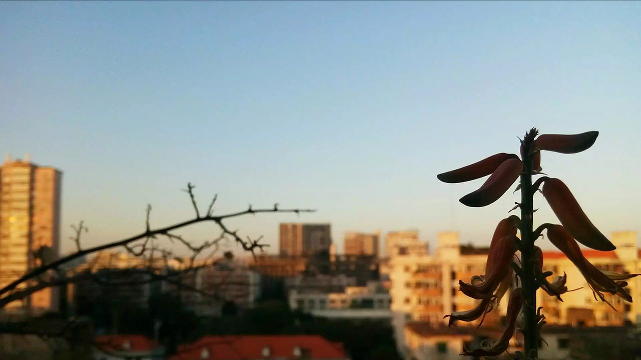 刺破（圖ZNjQ5OTUzNDA=） - 風(fēng)光攝影 - 站酷設(shè)計(jì)師花公豬原創(chuàng)素材 - 站酷ZCOOL