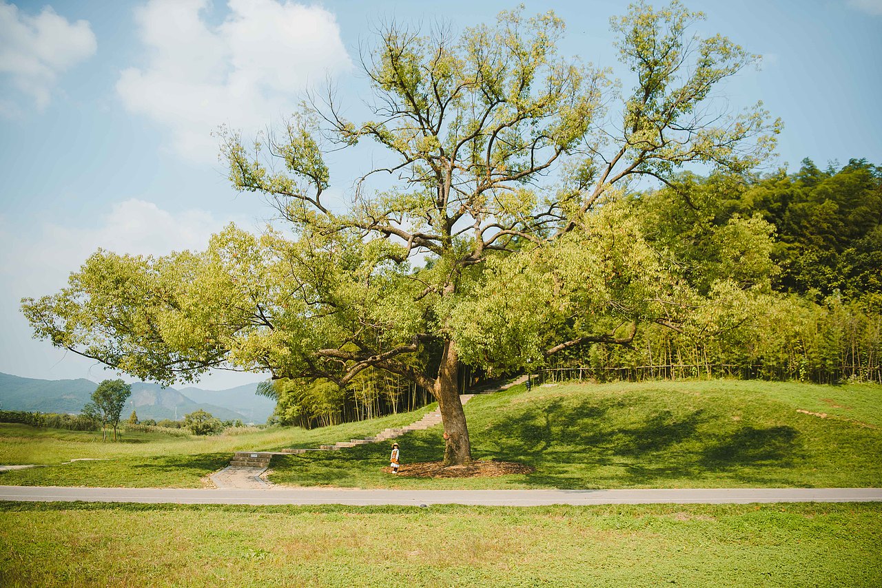 秋的诗（图ZMjI4MTYwNzEy） - 人像摄影 - 站酷设计师雨非飞原创素材 - 站酷ZCOOL