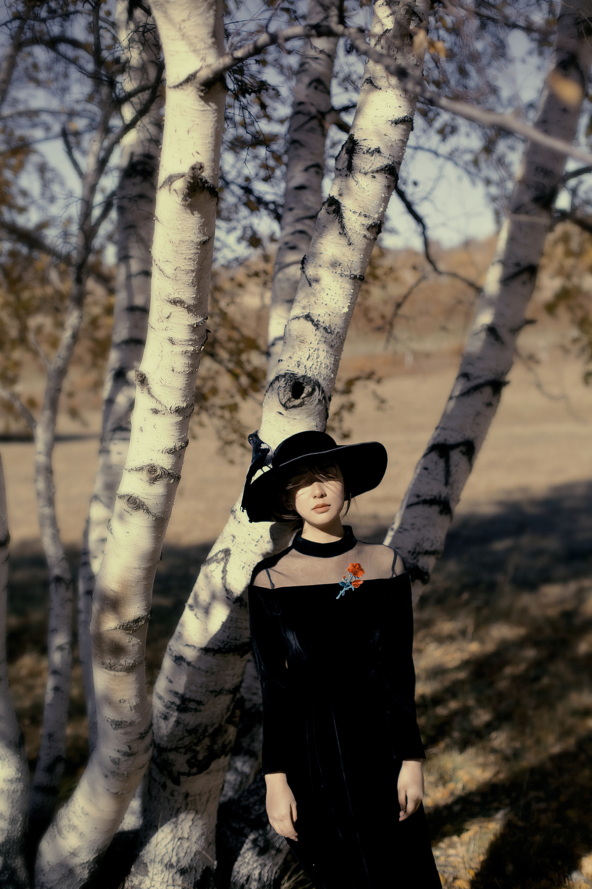 【乌兰布统的秋】