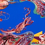 菡苕zyc的头像