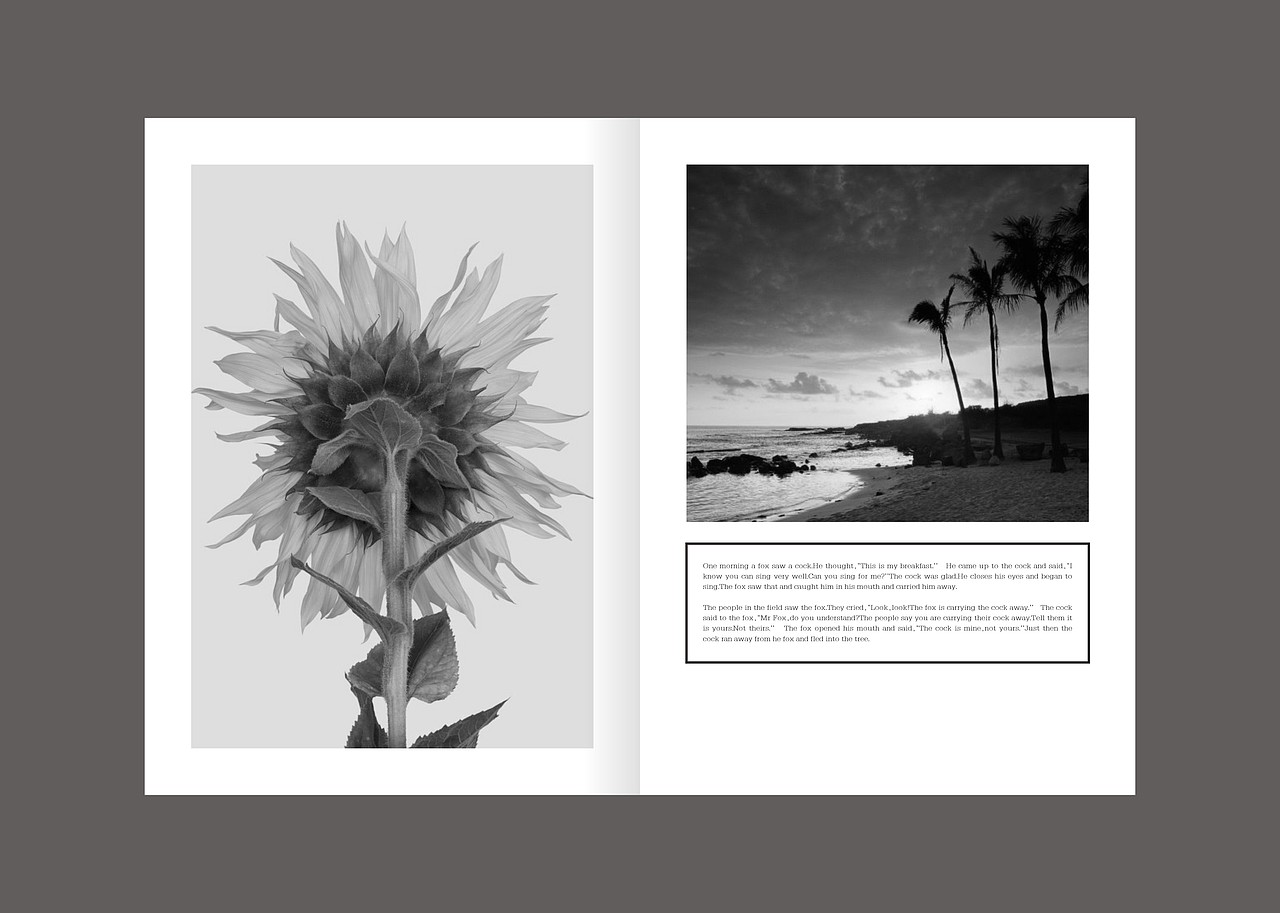 画册 练习（图ZNjMyNTg5MzI=） - 书籍/画册 - 站酷设计师Liuzhipin原创素材 - 站酷ZCOOL