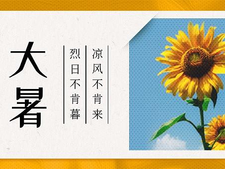 清新大气大暑节气宣传公众号推图1