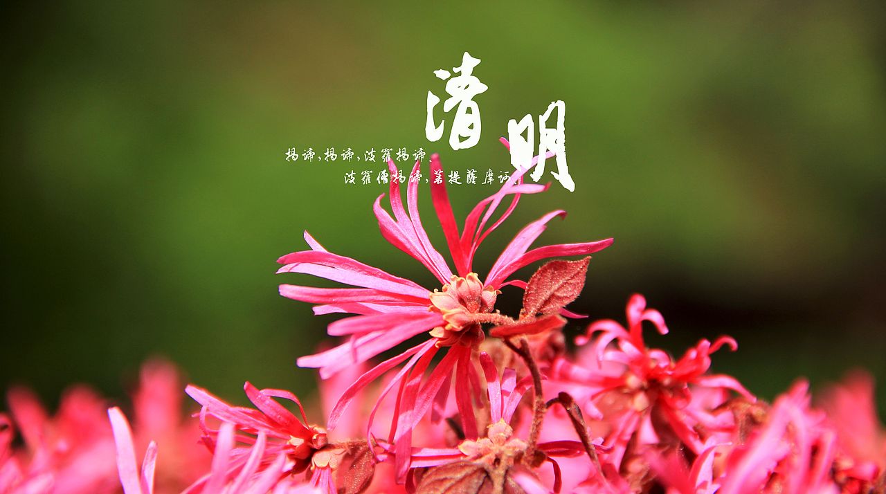 大桥下的石头（图ZODkzMzg4NA==） - 风光摄影 - 站酷设计师半道子原创素材 - 站酷ZCOOL