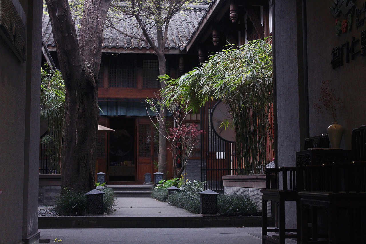 我看见的宽窄巷子