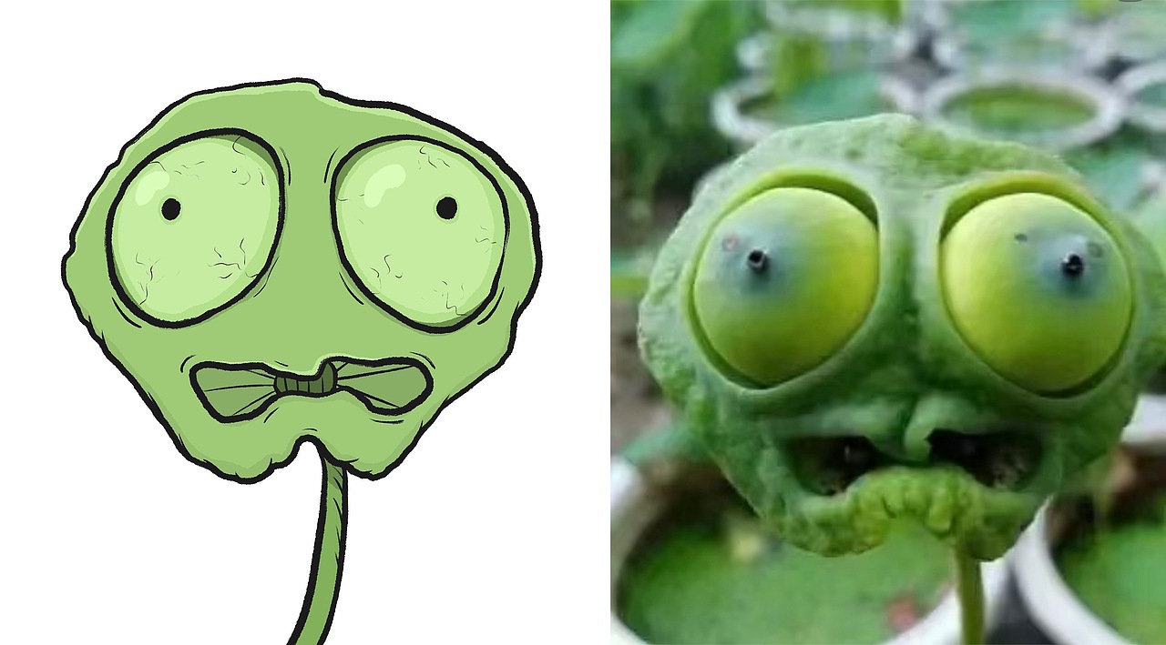 大学里充满怨气的莲蓬头🙃🙃🙃（图ZMzQ4NTkwODIw） - 商业插画 - 站酷设计师小白菜帮子原创素材 - 站酷ZCOOL