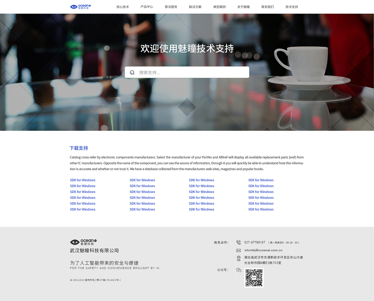 魅瞳科技_官网设计