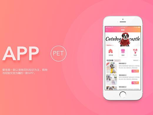 宠物app界面练习