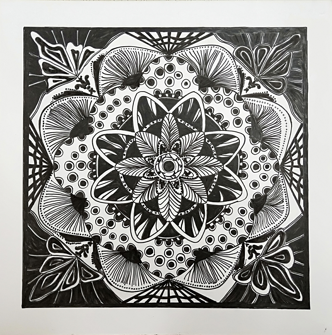 181董知鑫11803551密集构成