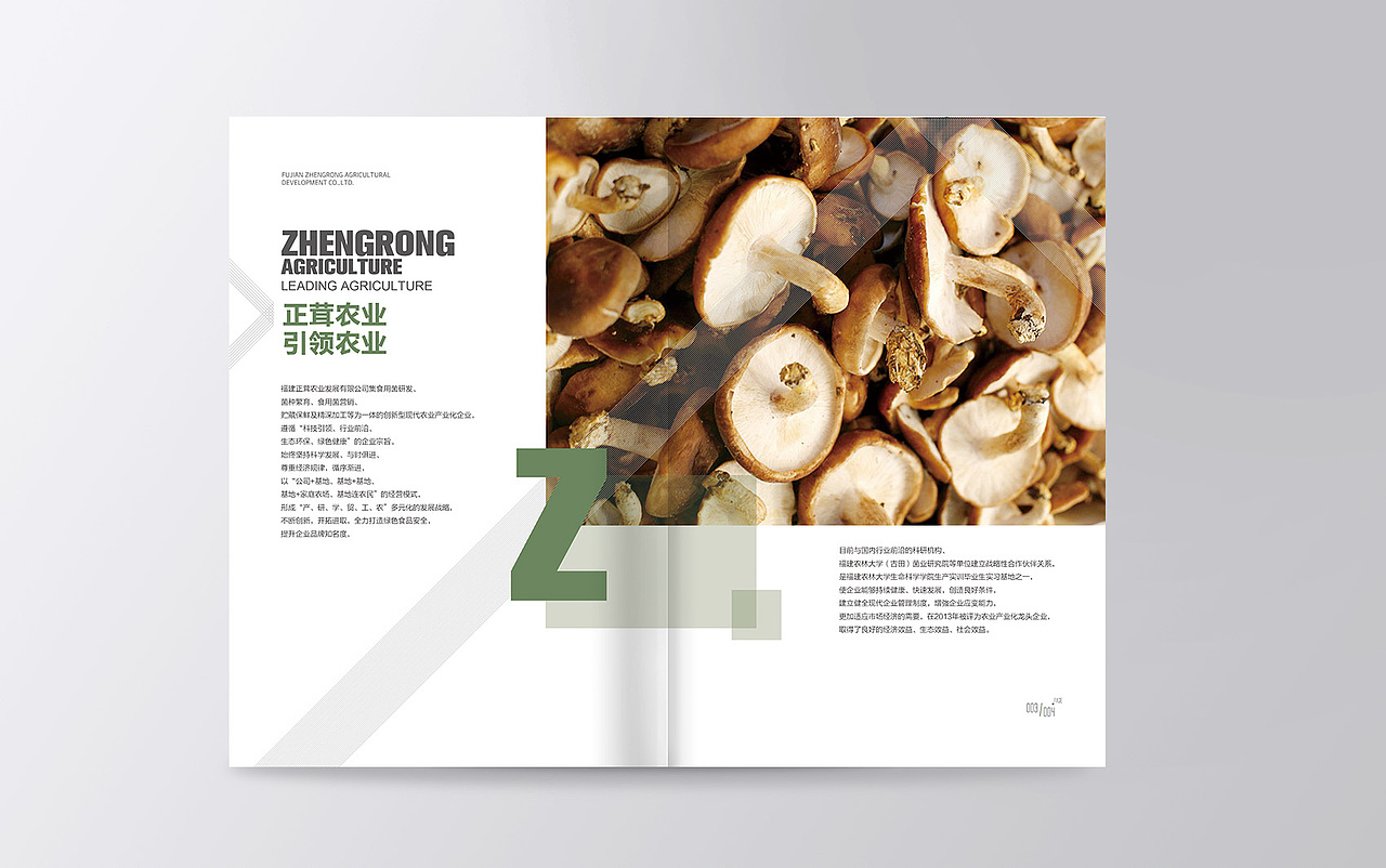 畫冊（圖ZMjQ1MzM4MDQ=） - 書籍/畫冊 - 站酷設計師瑪格麗塔原創(chuàng)素材 - 站酷ZCOOL