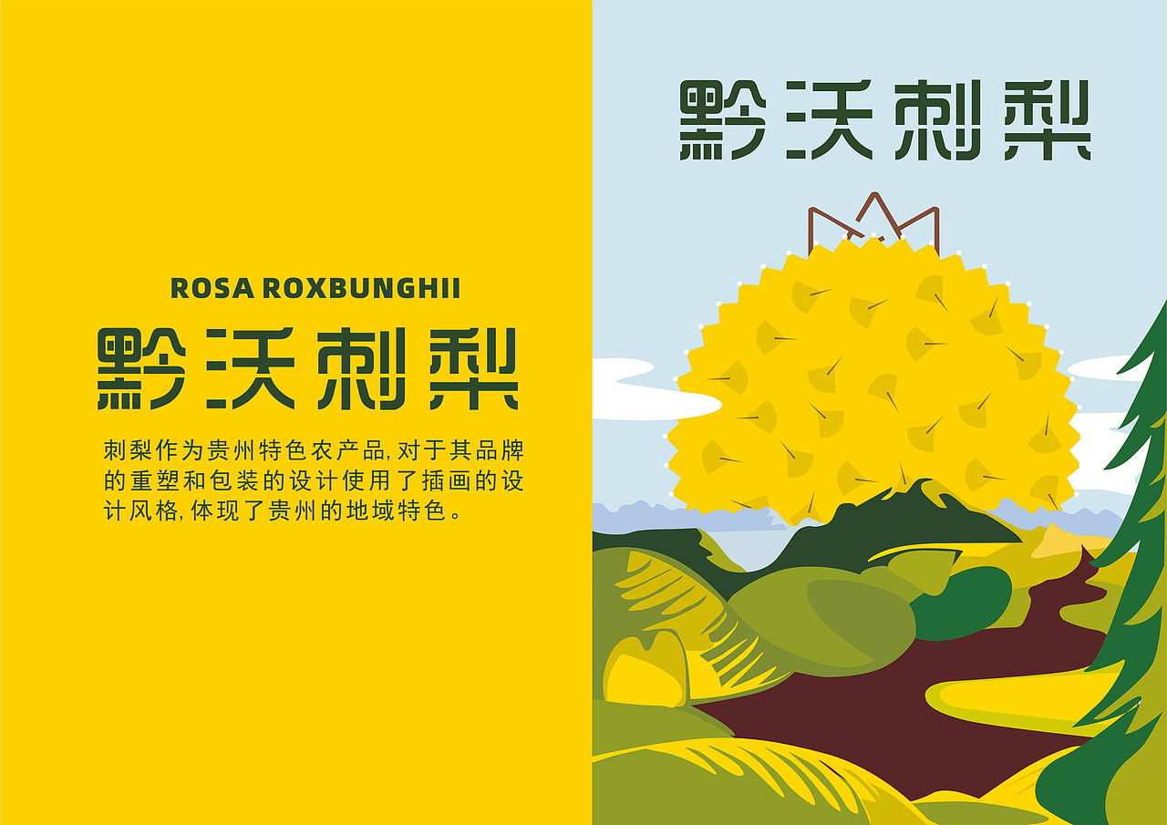 黔沃刺梨品牌与包装设计