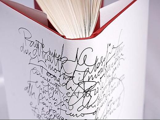 阅乐aap产品vis视觉系统提案