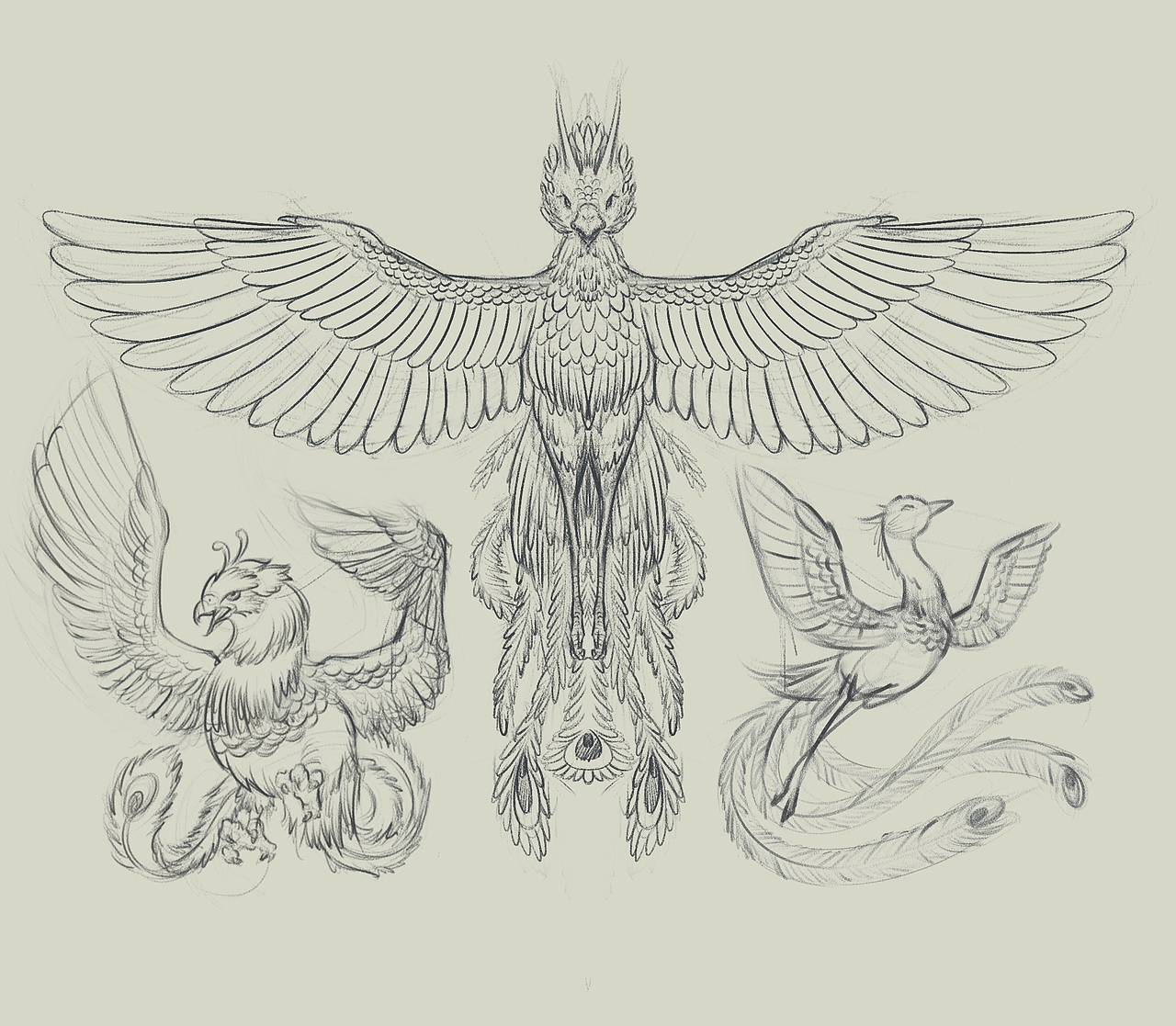 凤凰-手绘插画 部分临摹
