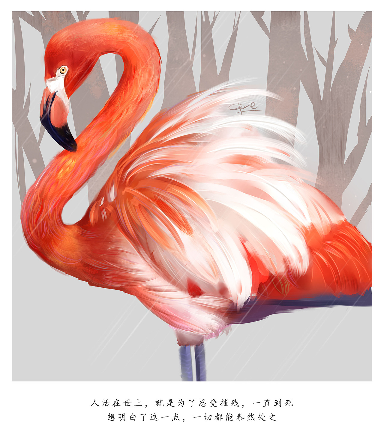 火烈鸟