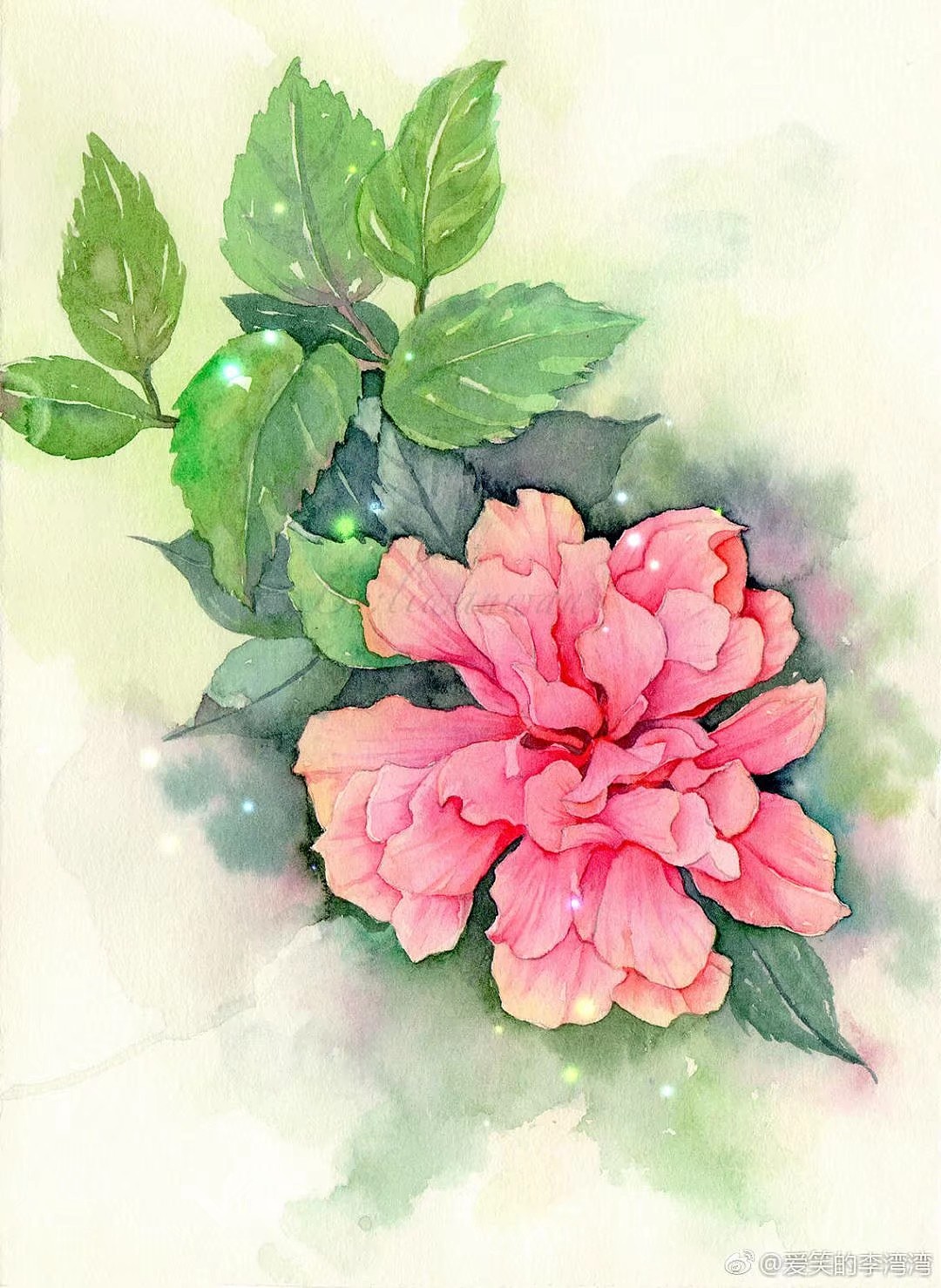 清新手绘（图ZMTI5Mjc0NTU2） - 艺术插画 - 站酷设计师一只虎斑喵呀原创素材 - 站酷ZCOOL