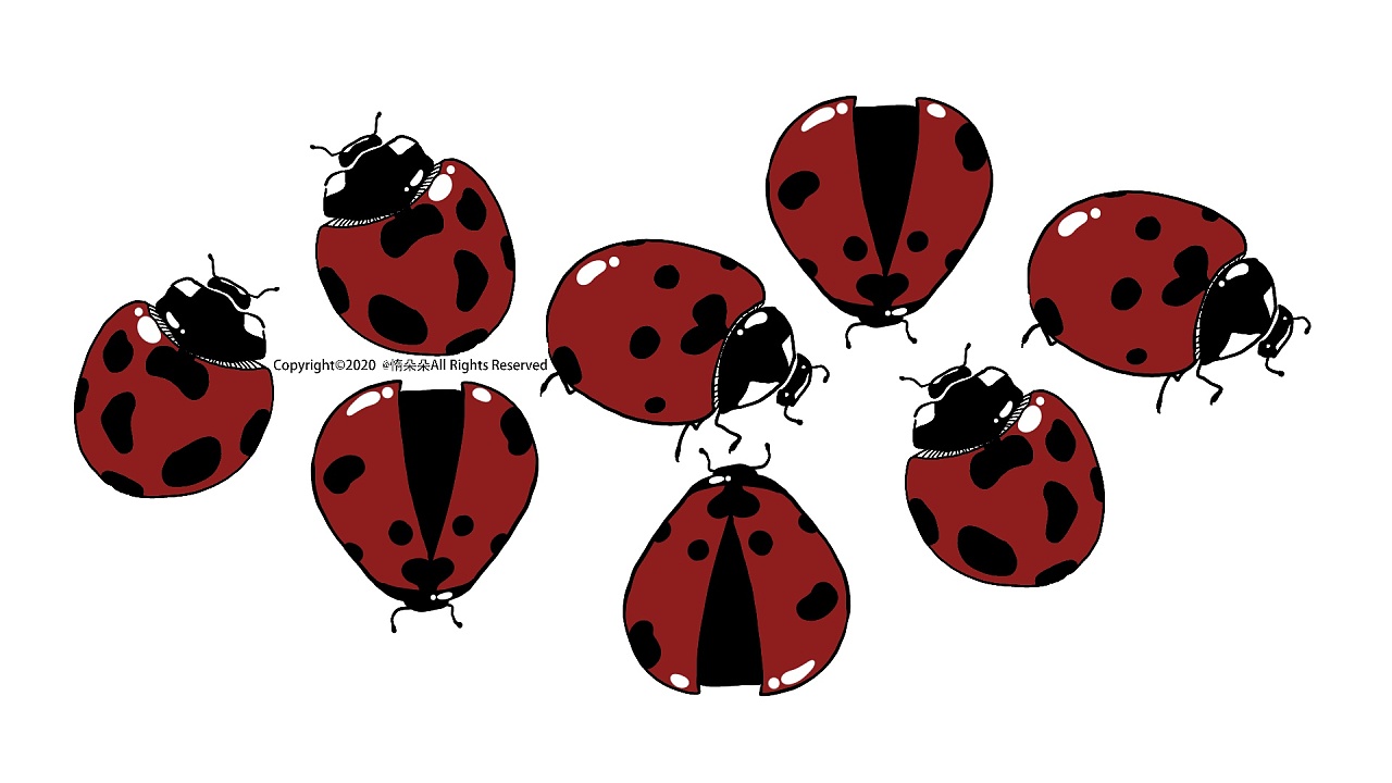 小瓢虫|插画|创作习作|惰朵朵 - 原创作品 - 站酷 (zcool)