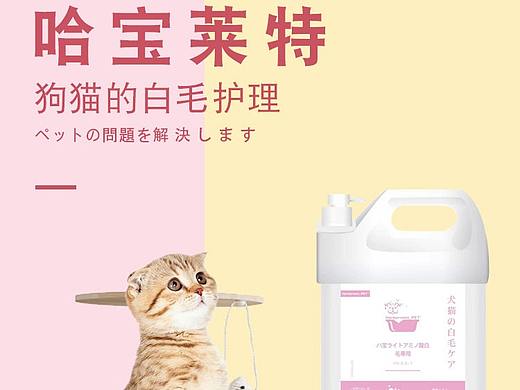 宠物洗护详情页