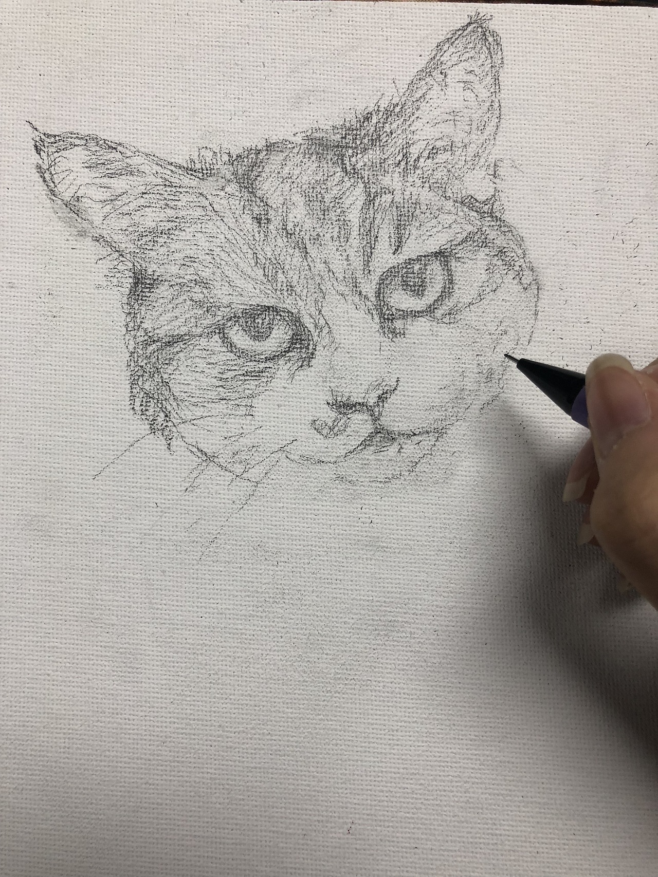 貓系列之楊過（圖ZMTMyMTYxMDA0） - 繪畫 - 站酷設(shè)計(jì)師羽微藍(lán)原創(chuàng)素材 - 站酷ZCOOL