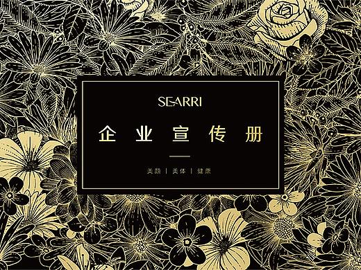2020年画册项目