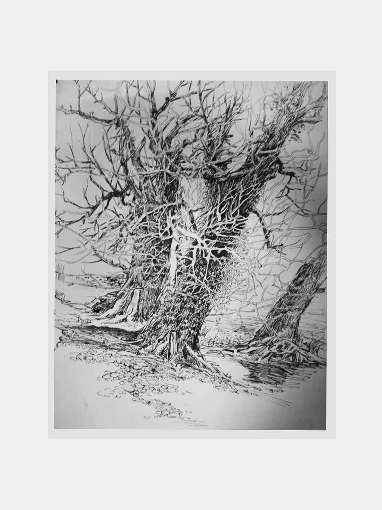 2009年的婺源写生速写（图ZMjUwODgwMTY4） - 创作习作 - 站酷设计师稻家原创素材 - 站酷ZCOOL