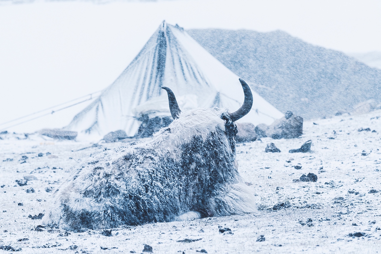 希夏邦马徒步5日（图ZOTA4MDg0Mjg=） - 风光摄影 - 站酷设计师冬仔饭原创素材 - 站酷ZCOOL