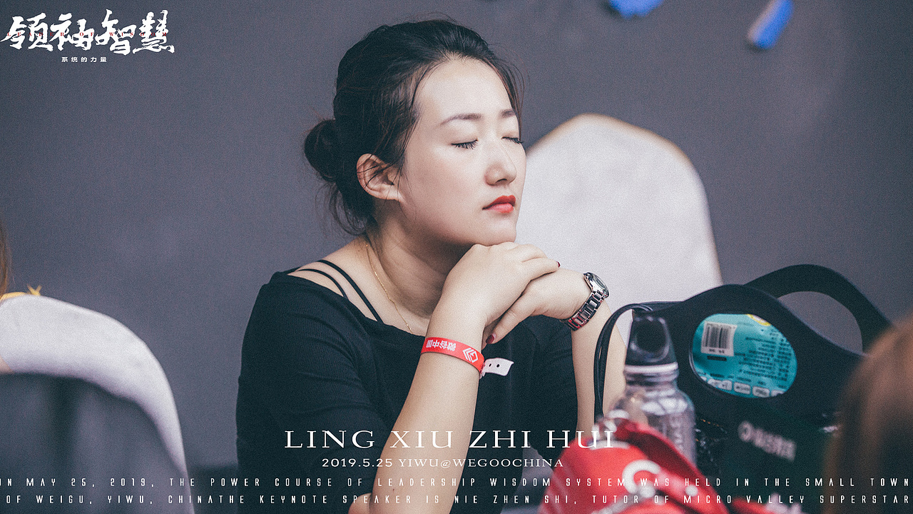 领袖智慧系统的力量