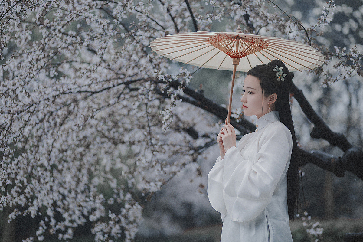 暗香浮盈袖 疏柳画佳人（图ZMTIwNjcxNTQw） - 人像摄影 - 站酷设计师PolarMaple原创素材 - 站酷ZCOOL