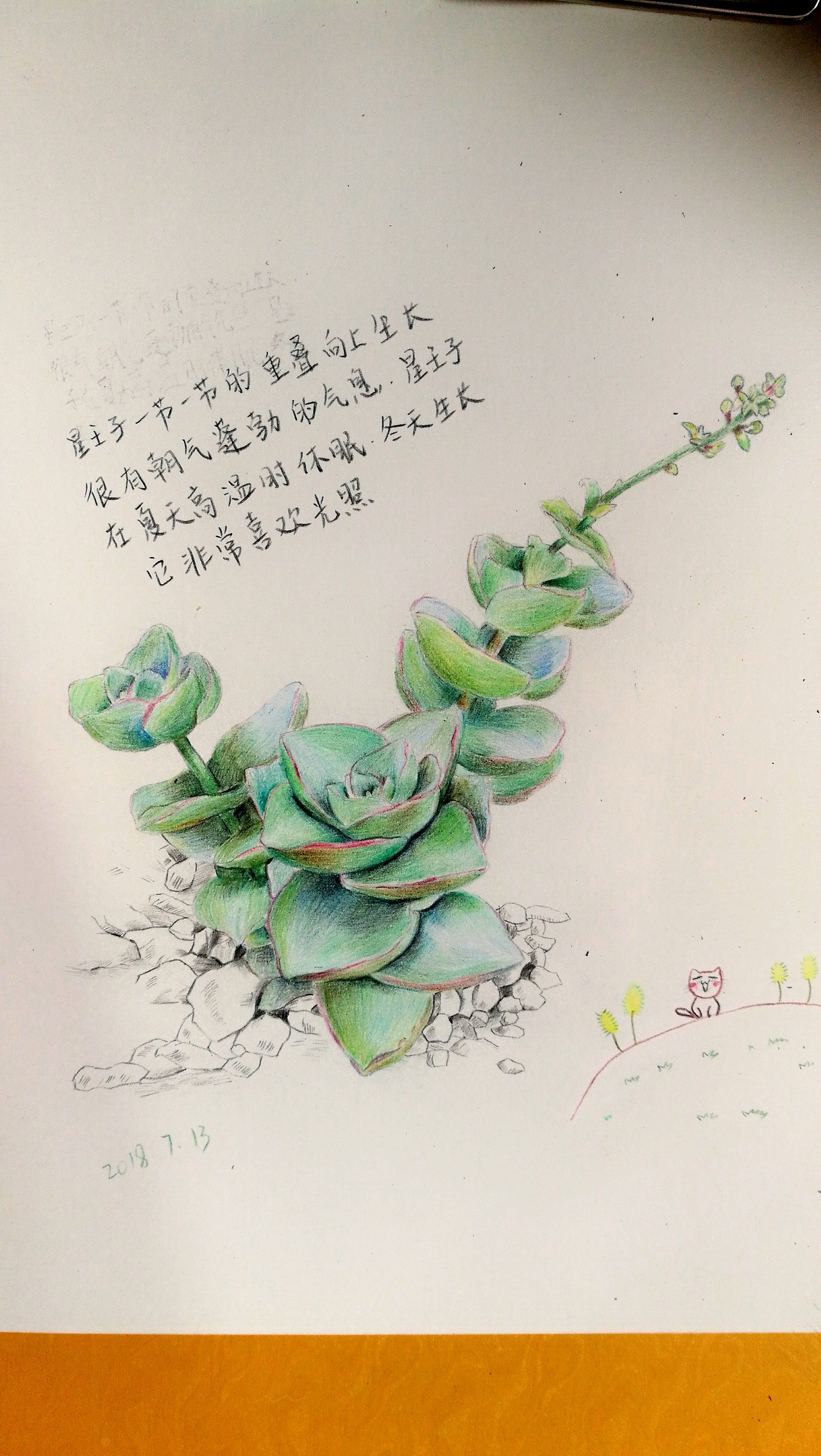 多肉～星王子临摹（图ZMTIxNDgxOTM2） - 创作习作 - 站酷设计师猫界和平原创素材 - 站酷ZCOOL