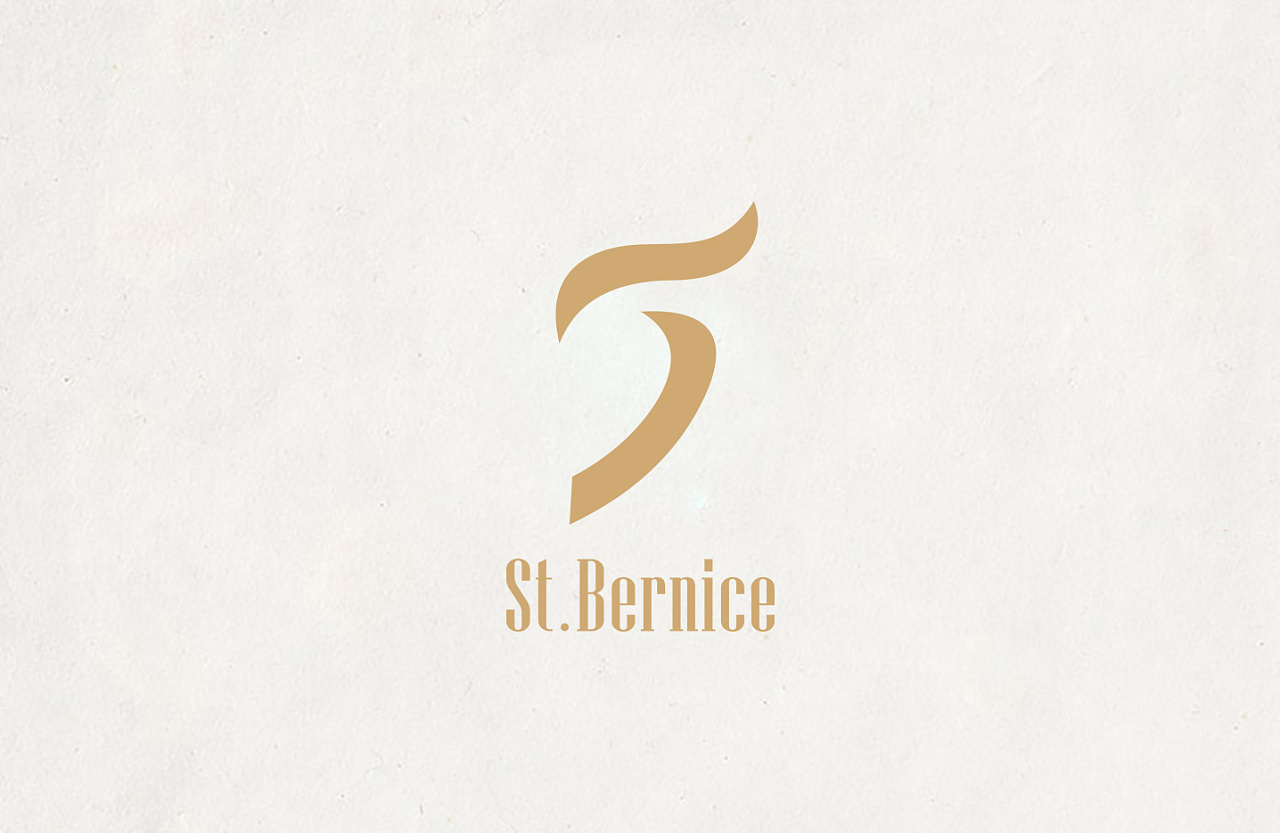st logo