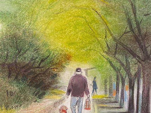 原创插画|绿荫深处🍃