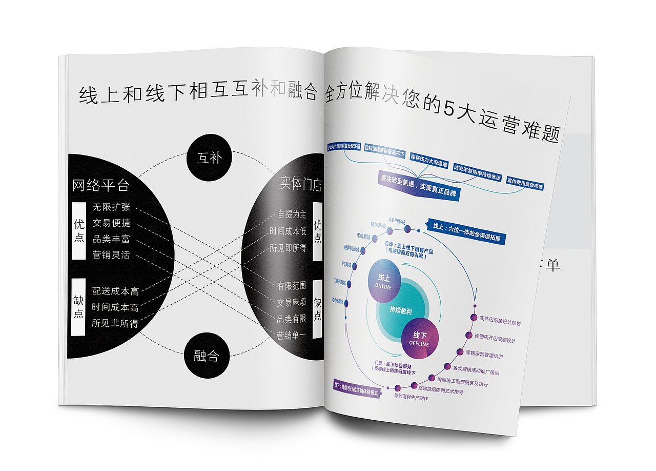宣传册,应领导要求要用灰色——没有用上