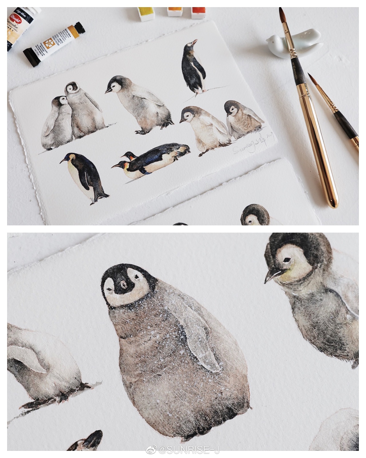水彩企鹅绘画过程|插画|商业插画|文静手绘 - 原创作品 - 站酷 (ZCOOL)