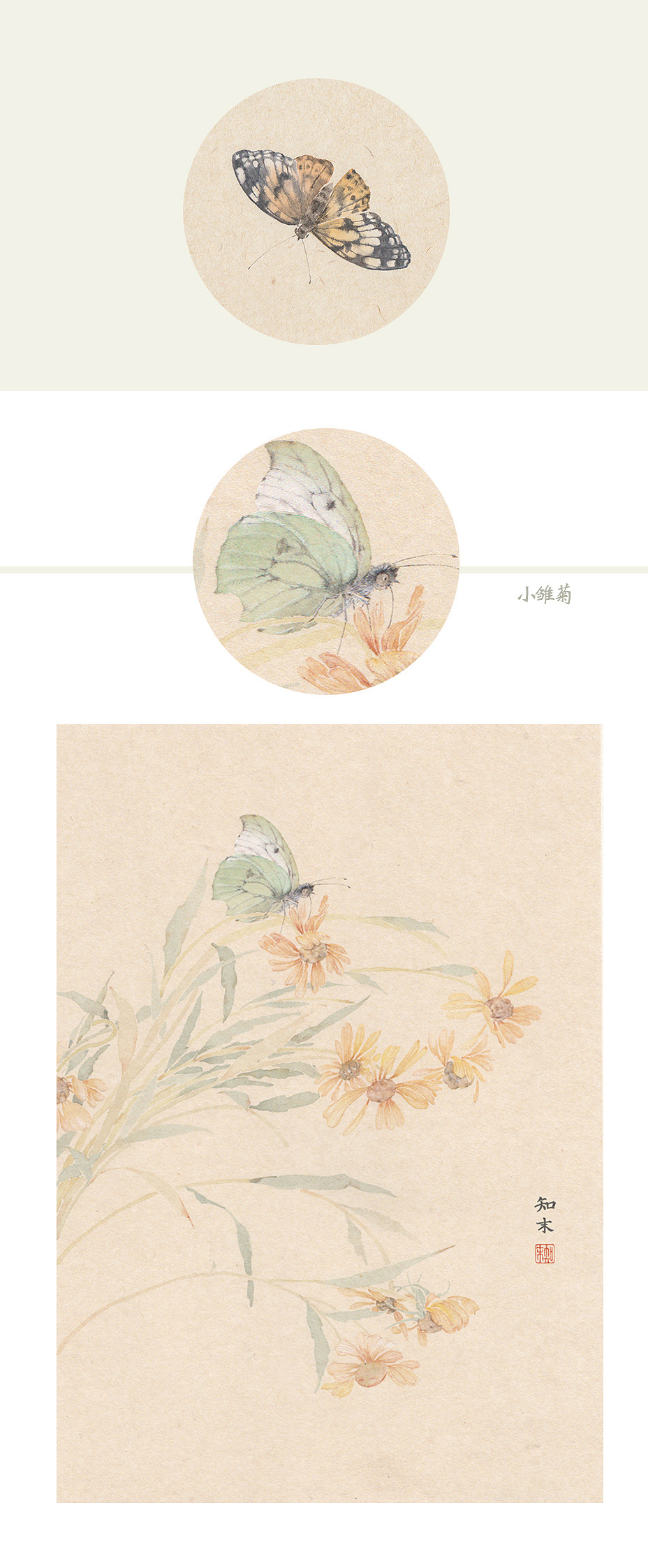 一组没骨蝴蝶(附蝴蝶出现过程)|纯艺术|绘画|知末 - 原创作品 - 站酷