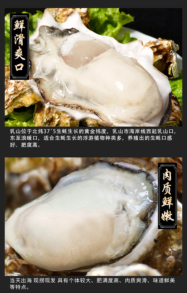 生蚝详情页（图ZMTEyMjU1MTY0） - 电商 - 站酷设计师漆黑小帽原创素材 - 站酷ZCOOL