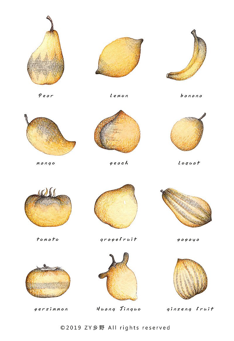 一组黄色的水果系列小画（图ZMTc3NTc5NDQw） - 创作习作 - 站酷设计师ZY乡野原创素材 - 站酷ZCOOL