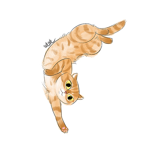 17年下半年画的一些猫子狗子的画像