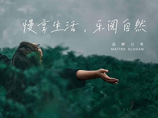 曼亭鸟门窗 | 朴术品牌策划