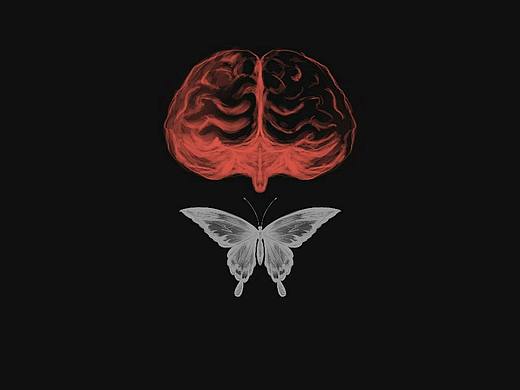 我的脑袋里住了只蝴蝶