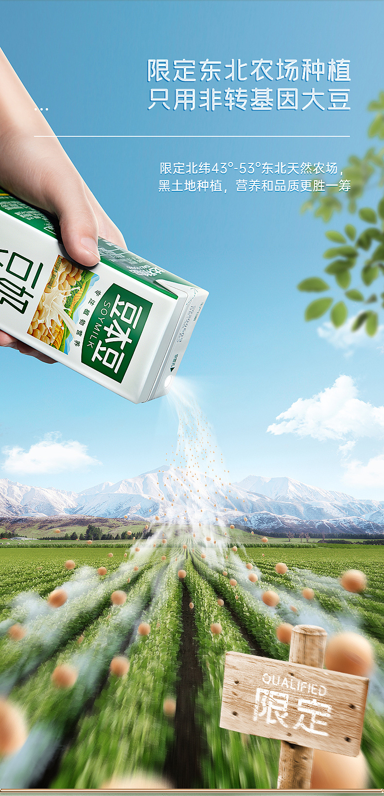 摄影:保罗 后期:松鼠传媒团队 豆本豆品牌命名:"豆