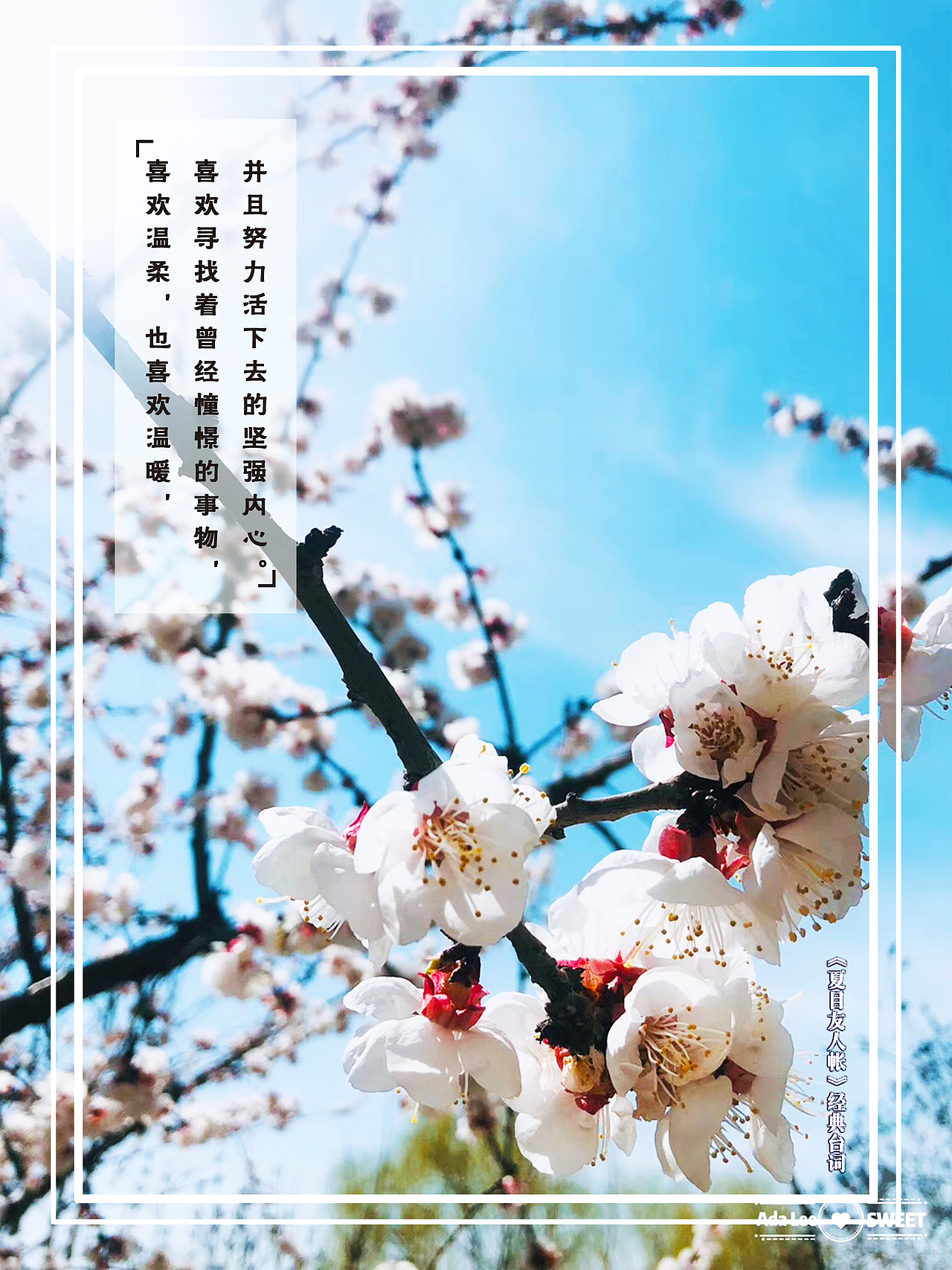 春·之盎然也（图ZMTU1MTQzMjg4） - 其他平面 - 站酷设计师你听原创素材 - 站酷ZCOOL