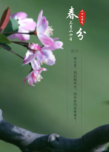 二十四节气（图ZNzE4MjQ4Njg=） - APP界面 - 站酷设计师cfy962464原创素材 - 站酷ZCOOL