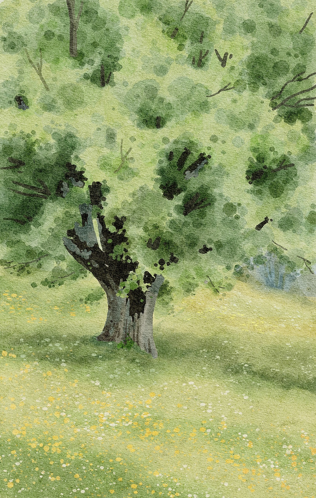 水彩风——风景练习（图ZMjgxNDg2NzA4） - 商业插画 - 站酷设计师二木mu原创素材 - 站酷ZCOOL