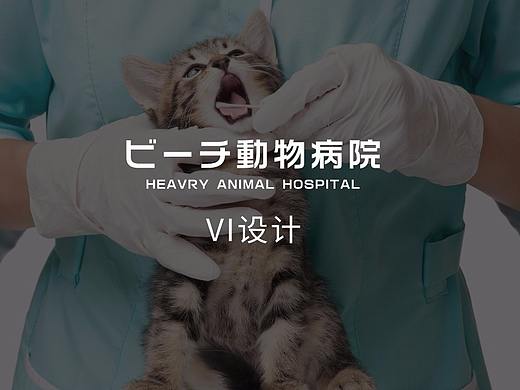 动物医院VI设计